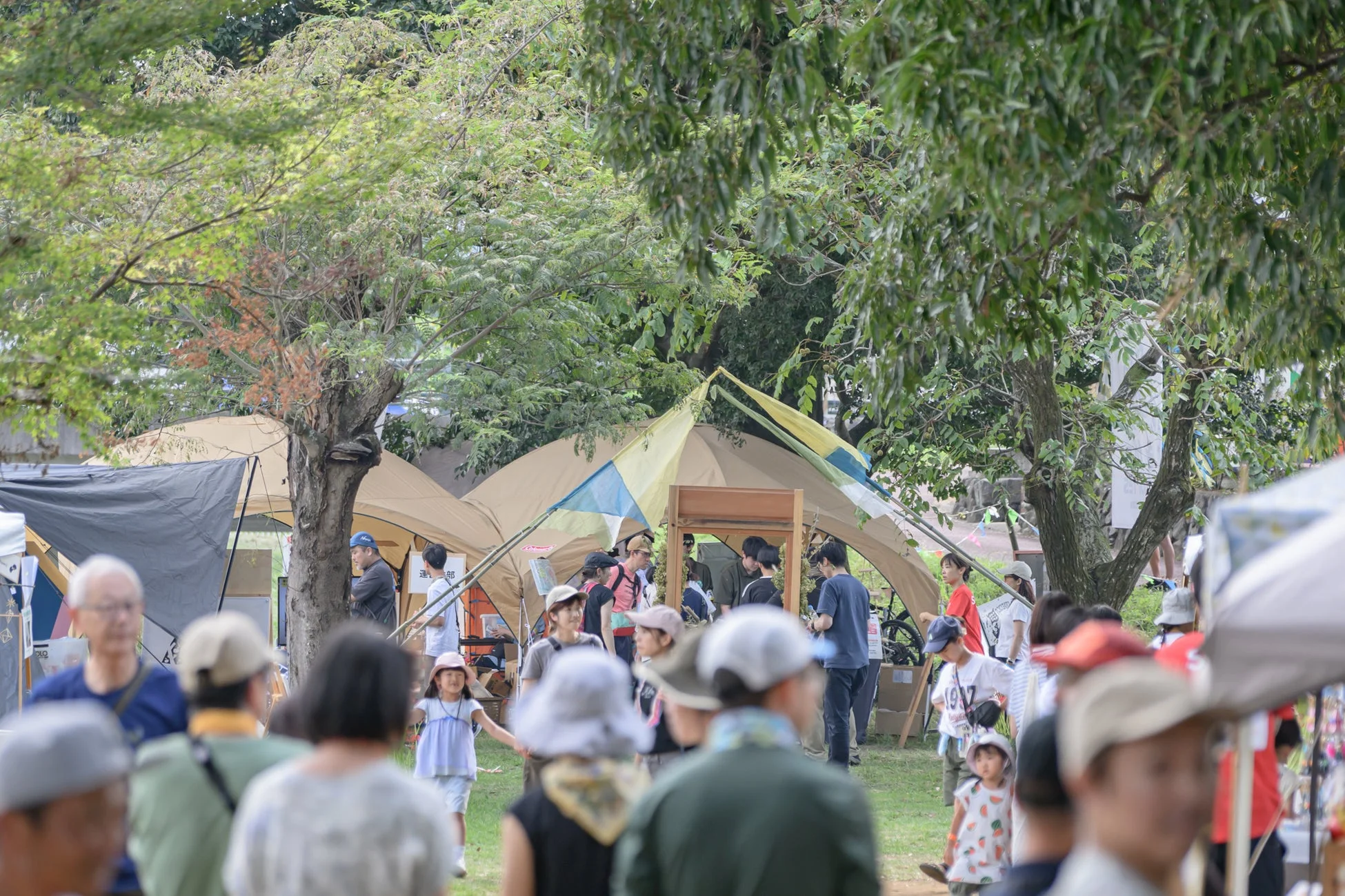 公園で開催されている屋外イベントの様子