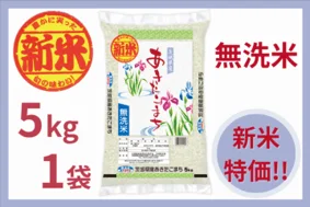新米 あきたこまち 無洗米 5kg