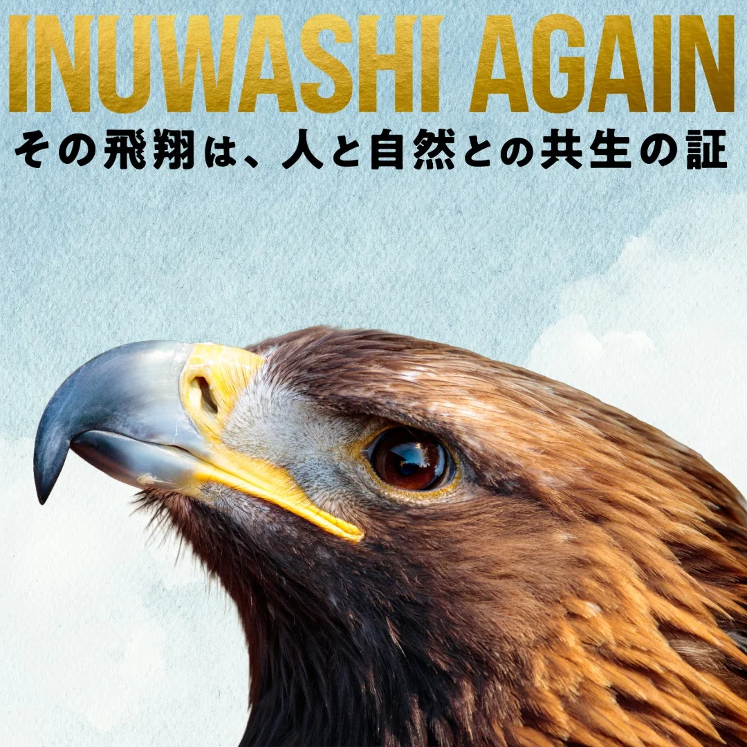 イヌワシ