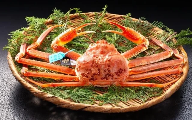 石川県加賀市・山中温泉「吉祥やまなか」がタグ付きブランド加能ガニを堪能する宿泊プランを2026年11月7日より提供開始