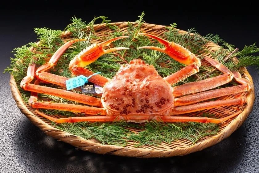 石川県加賀市・山中温泉「吉祥やまなか」がタグ付きブランド加能ガニを堪能する宿泊プランを2026年11月7日より提供開始