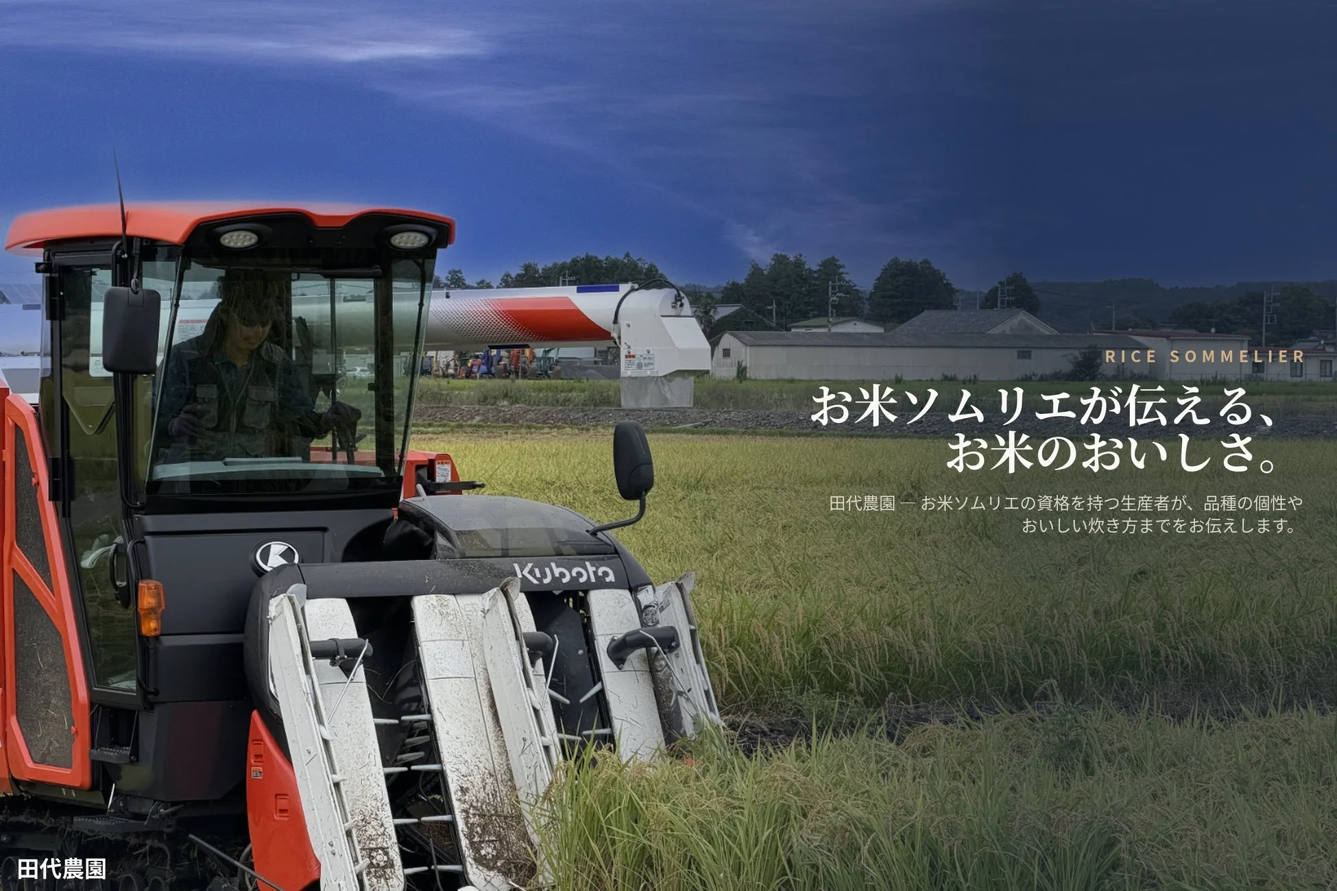 お米ソムリエが伝える、お米のおいしさ