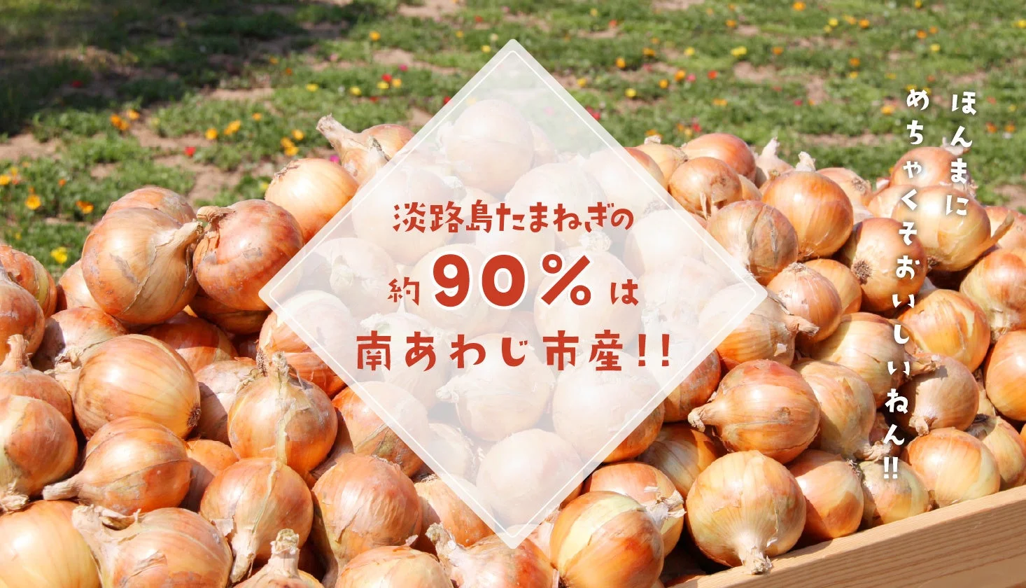 淡路島たまねぎが山積みになった様子