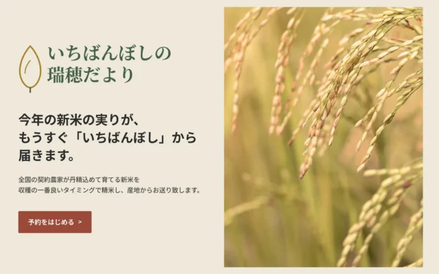 栃木県高根沢町から全国へ！新米直売サイト「いちばんぼしの瑞穂だより」がオープン