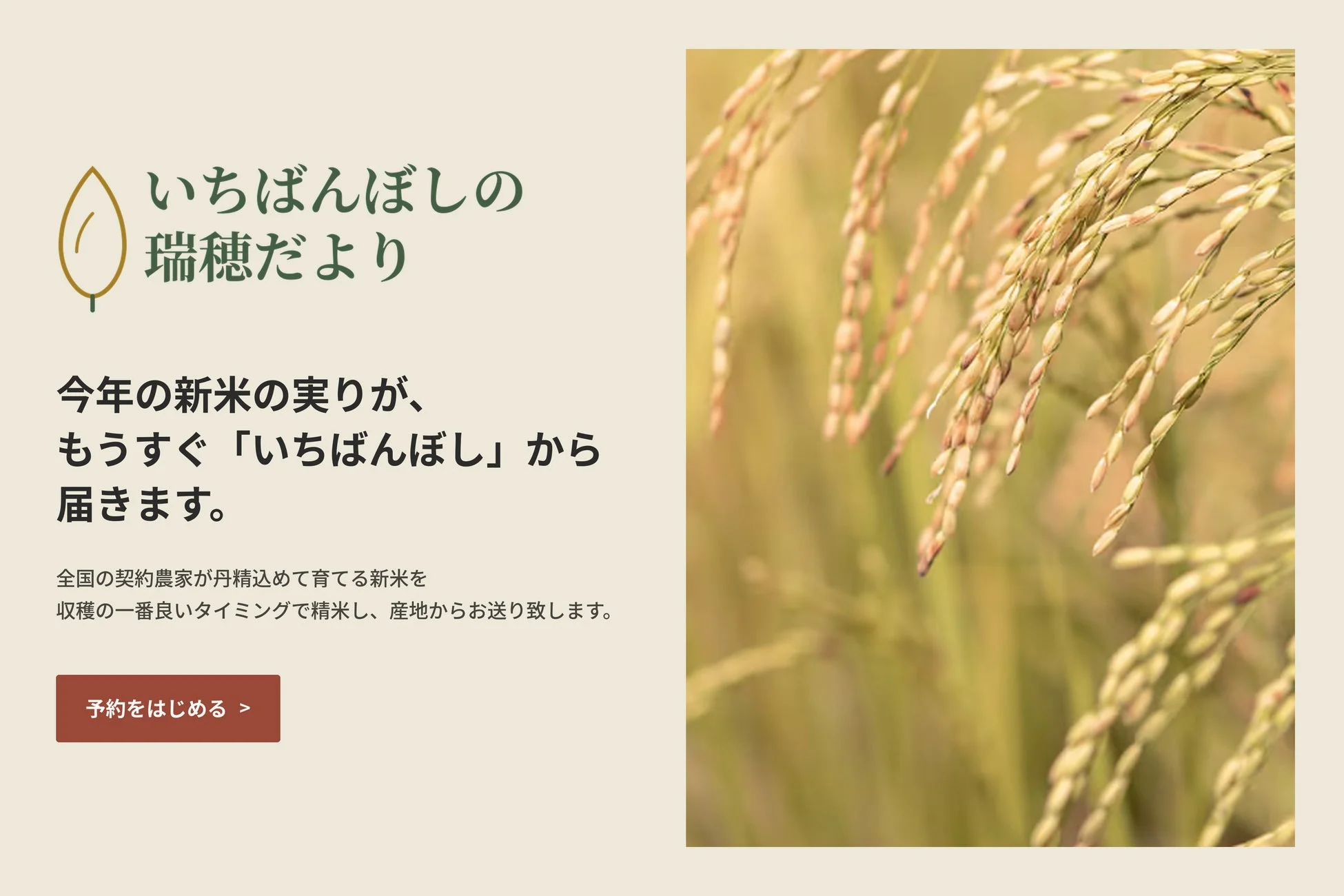 いちばんぼしの瑞穂だより