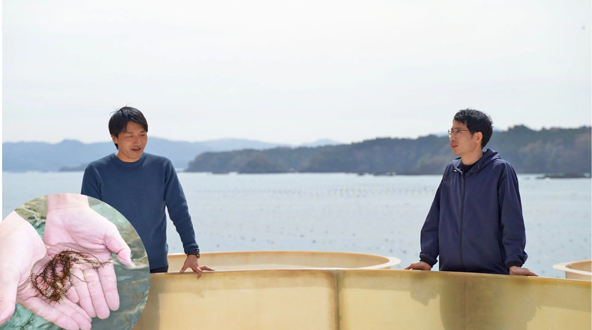 海藻陸上養殖